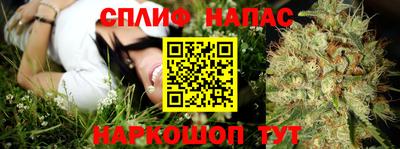 стафф Анапа
