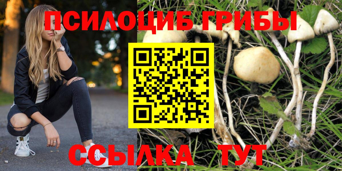 Псилоцибиновые грибы GOLDEN TEACHER Златоуст