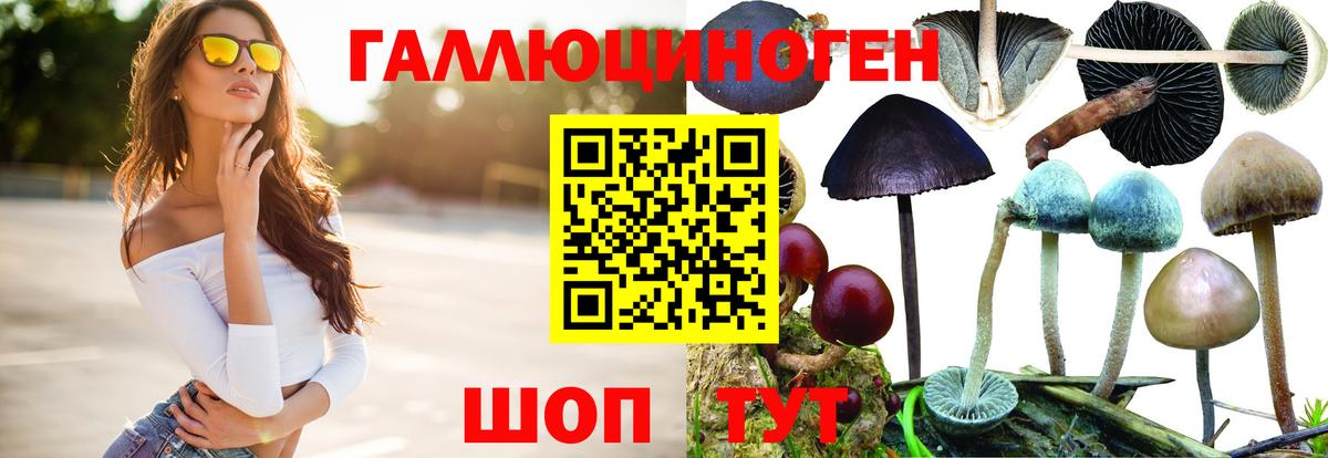 Псилоцибиновые грибы ЛСД  Вход с VPN  Златоуст 
